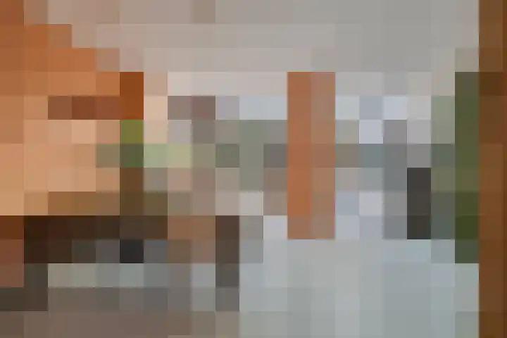 Vondellaan 48 Schiedam thumbnail 5