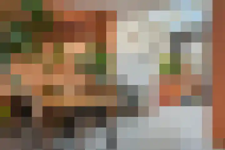 Vondellaan 48 Schiedam thumbnail 6