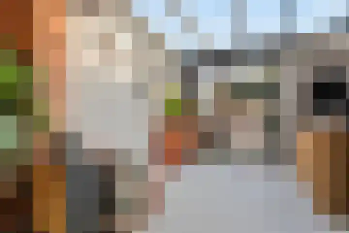 Vondellaan 48 Schiedam thumbnail 7