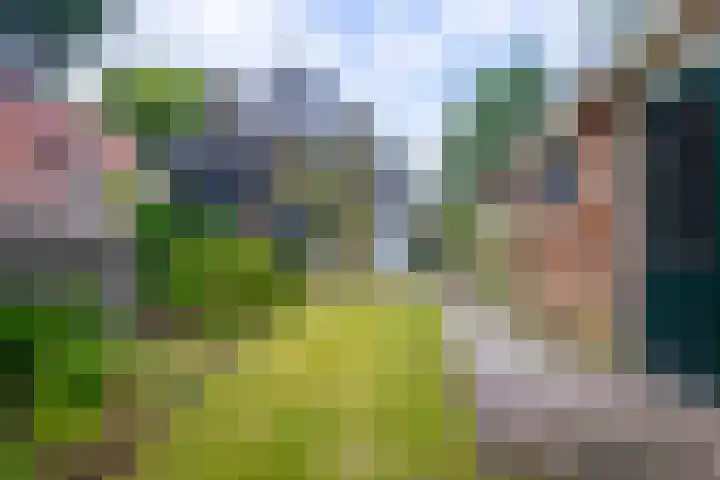 Vondellaan 49 Baarn thumbnail 31