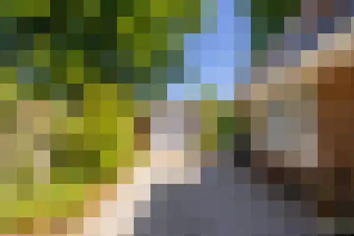 Vondellaan 49 Baarn thumbnail 33
