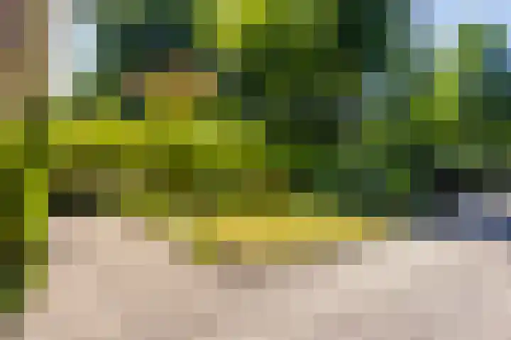 Vondellaan 49 Baarn thumbnail 35