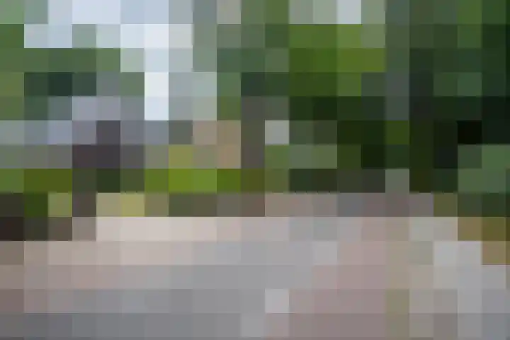 Vondellaan 49 Baarn thumbnail 36