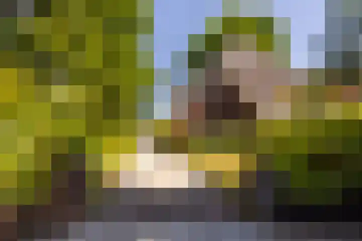 Vondellaan 49 Baarn thumbnail 43