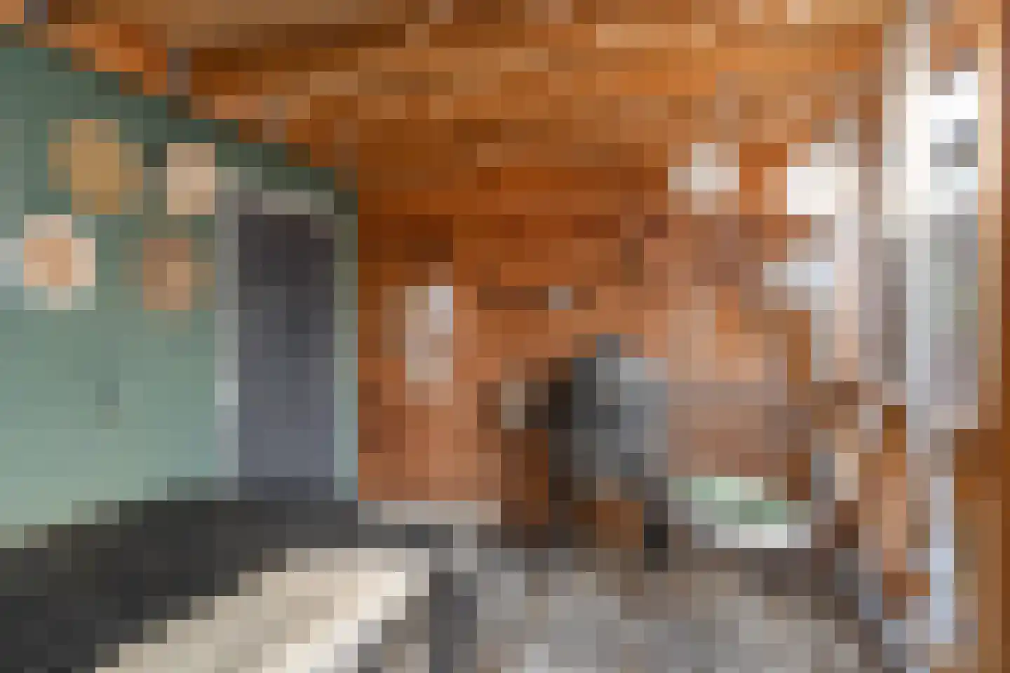 Vondellaan 49 Waddinxveen thumbnail 33