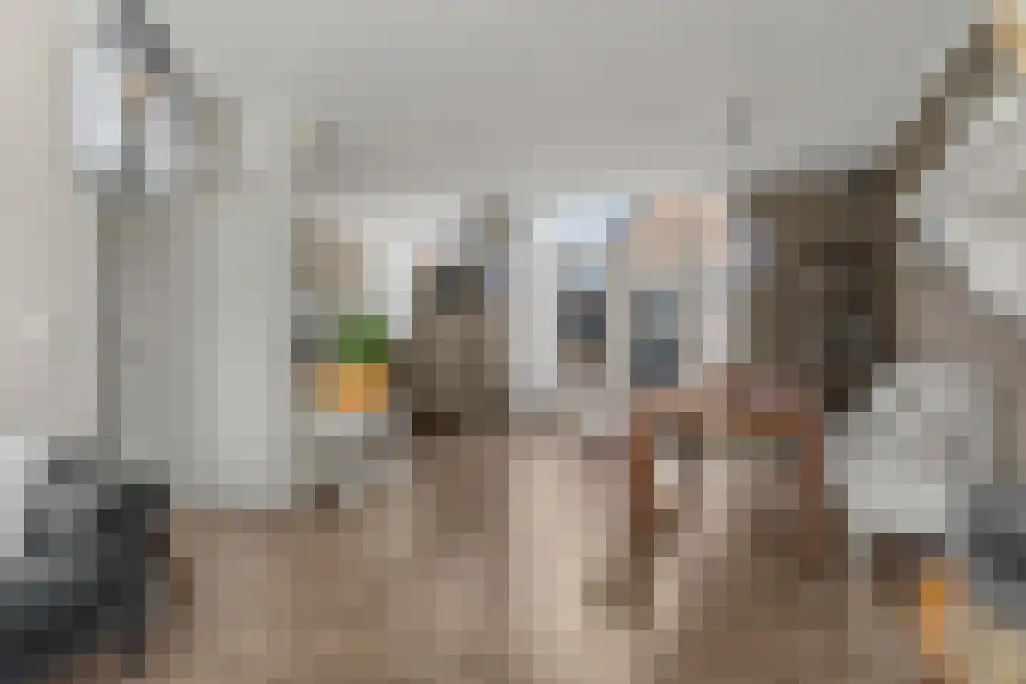 Vondellaan 49 Waddinxveen thumbnail 9