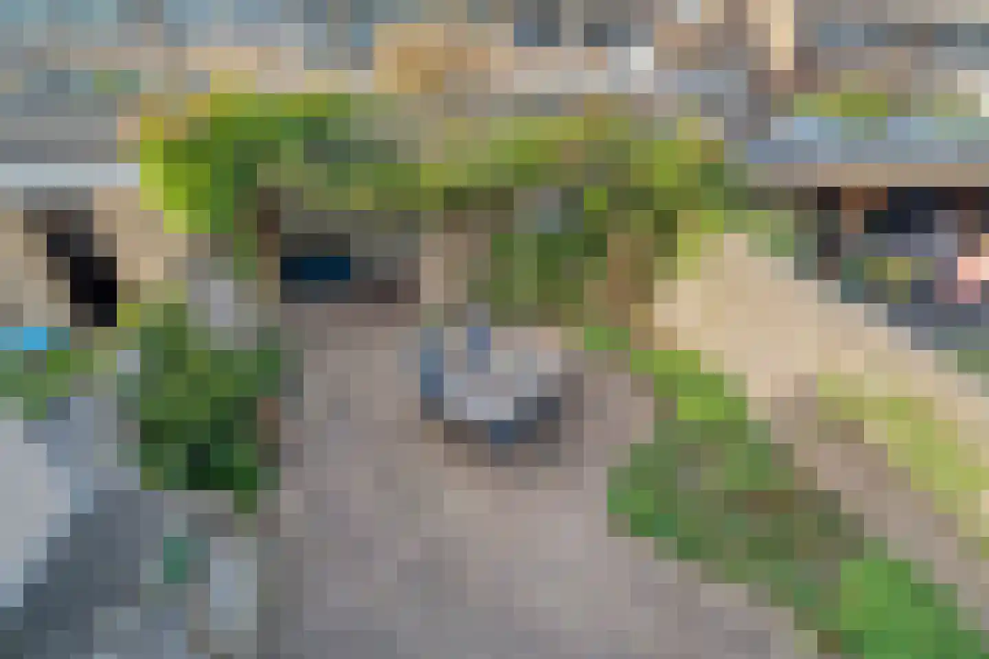 Vondellaan 5 Harderwijk thumbnail 24