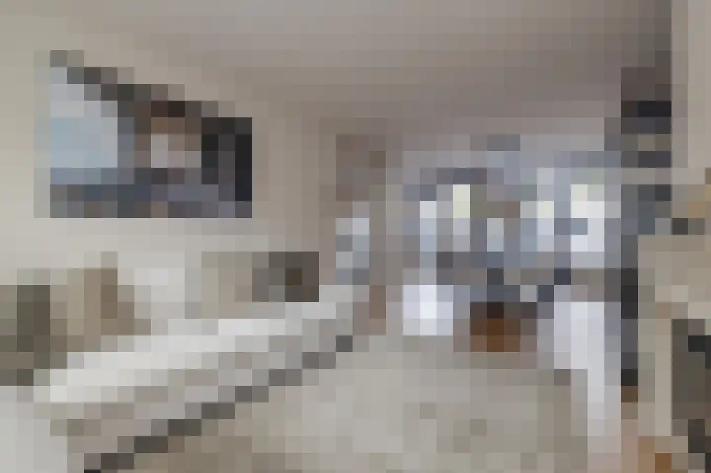 Vondellaan 5 Waddinxveen thumbnail 8