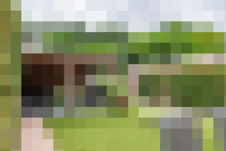 Vondellaan 51 Veenendaal thumbnail 13