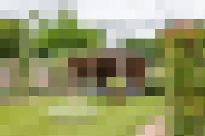 Vondellaan 51 Veenendaal thumbnail 14