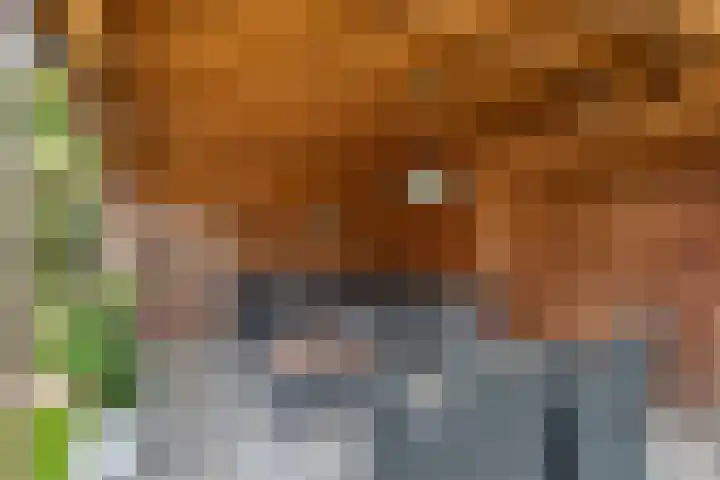 Vondellaan 51 Veenendaal thumbnail 15