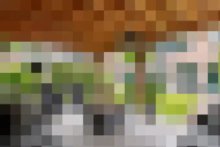 Vondellaan 51 Veenendaal thumbnail 16