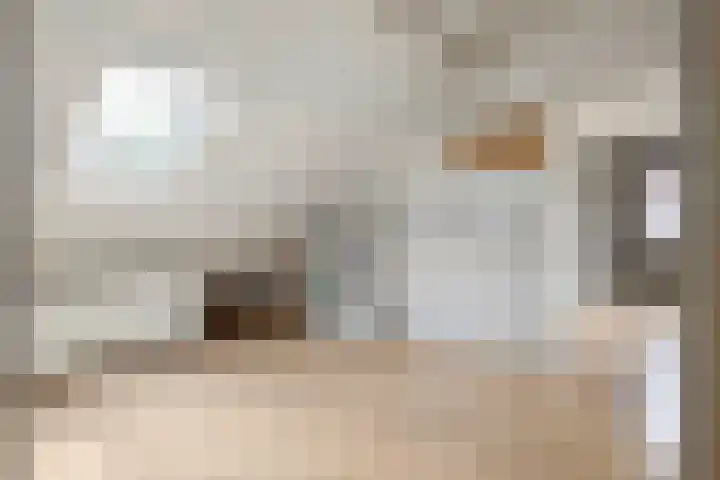 Vondellaan 51 Veenendaal thumbnail 32