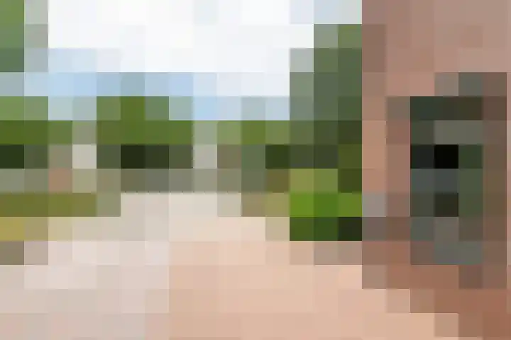 Vondellaan 51 Veenendaal thumbnail 36