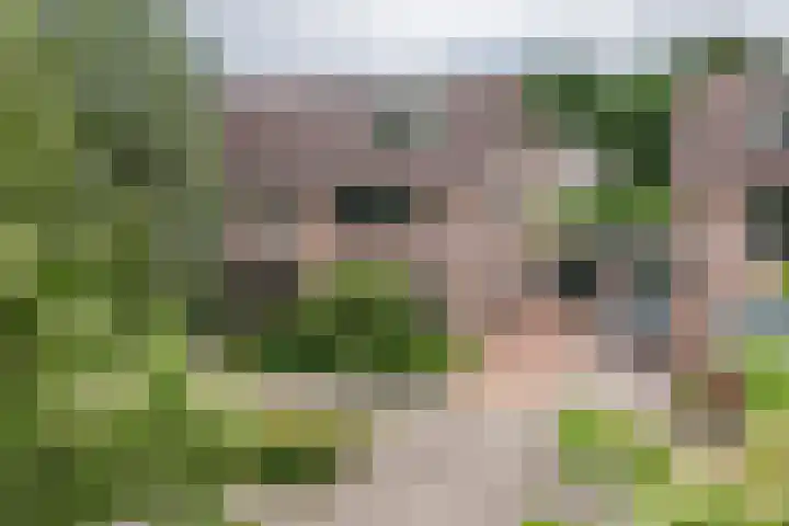 Vondellaan 51 Veenendaal thumbnail 37
