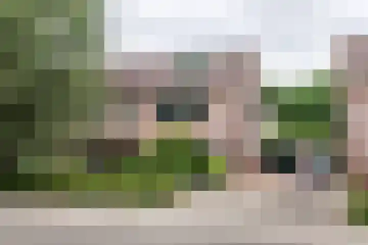 Vondellaan 51 Veenendaal thumbnail 4