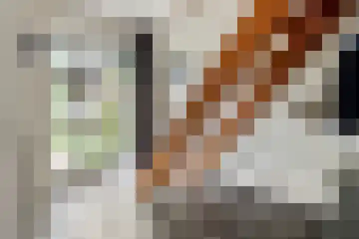 Vondellaan 51 Veenendaal thumbnail 5
