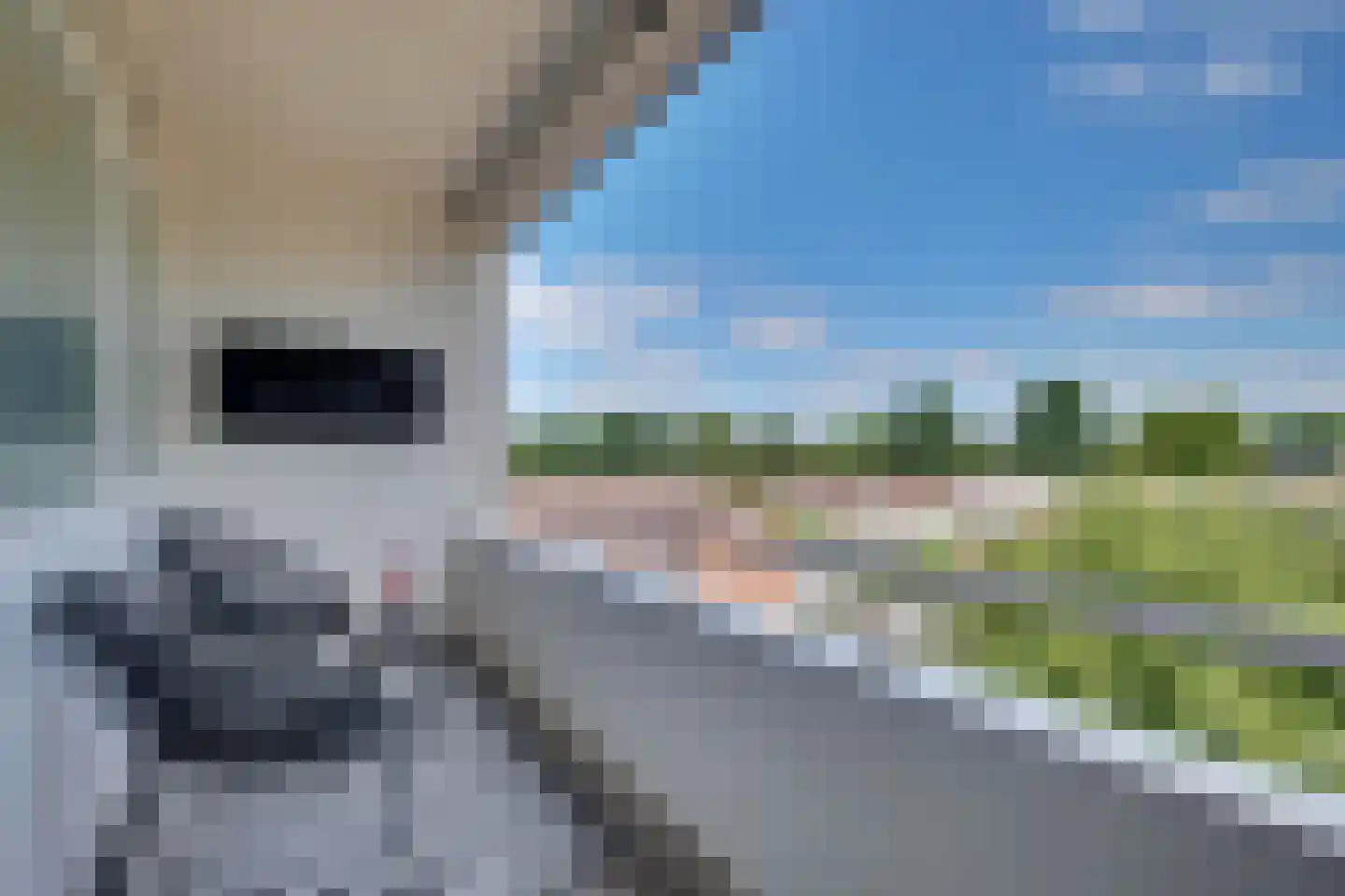 Vondellaan 51 Zevenaar thumbnail 6