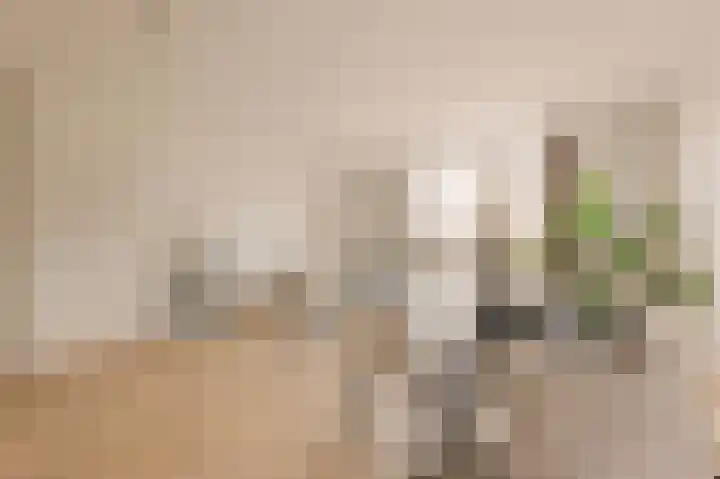 Vondellaan 53 C Utrecht thumbnail 13