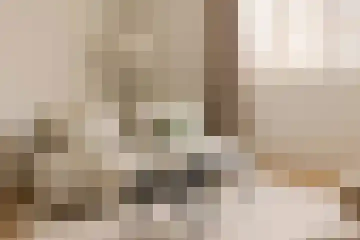 Vondellaan 53 C Utrecht thumbnail 16