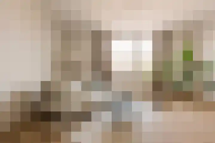 Vondellaan 53 C Utrecht thumbnail 4
