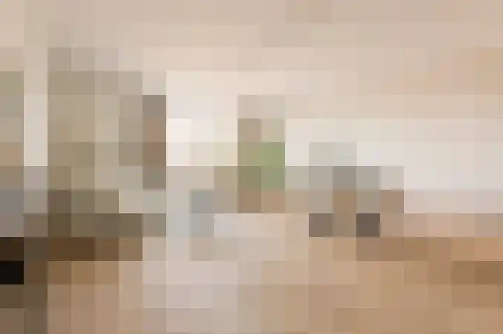 Vondellaan 53 C Utrecht thumbnail 5