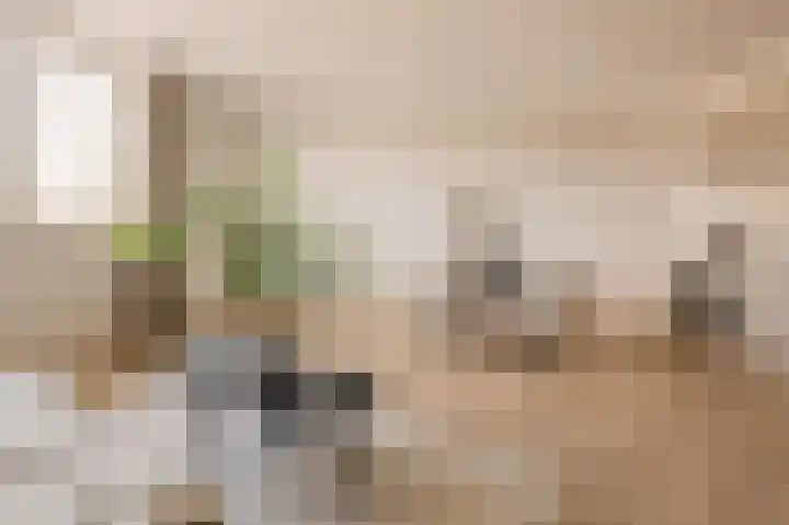 Vondellaan 53 C Utrecht thumbnail 7