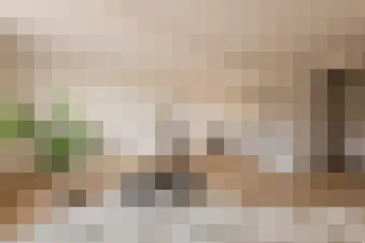 Vondellaan 53 C Utrecht thumbnail 8