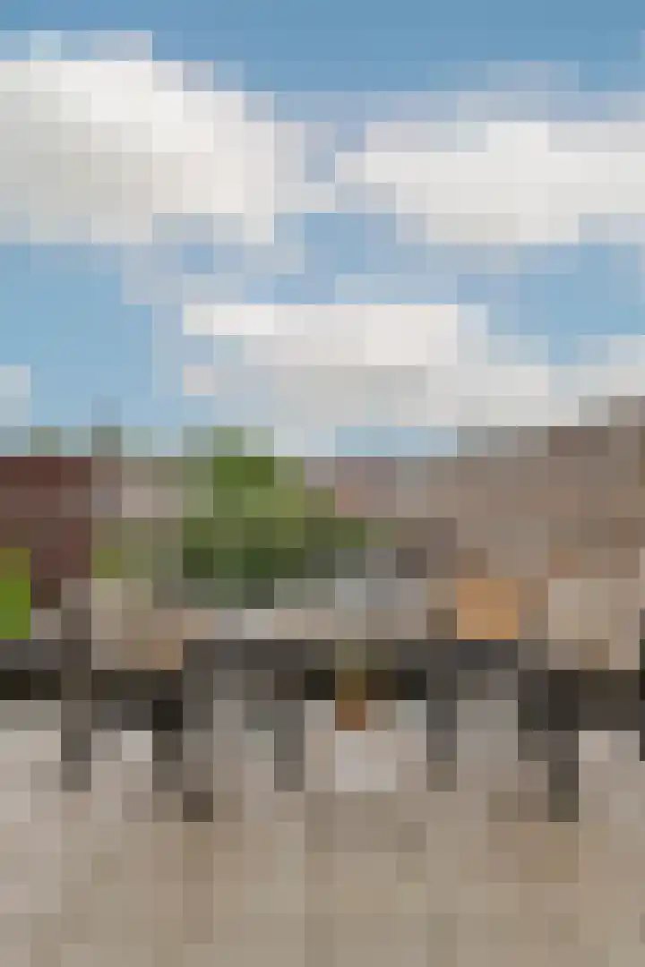 Vondellaan 53 F Utrecht thumbnail 25