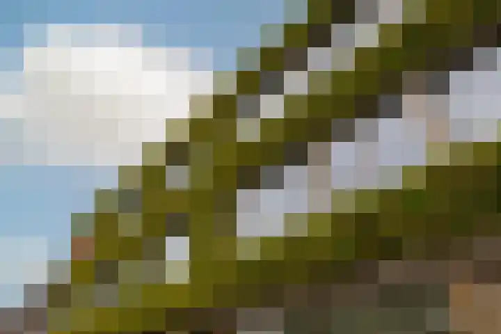 Vondellaan 53 F Utrecht thumbnail 29