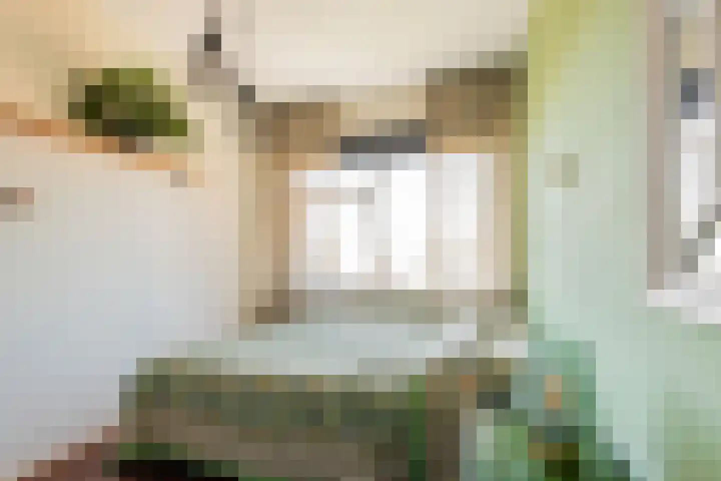 Vondellaan 53 Groningen thumbnail 24