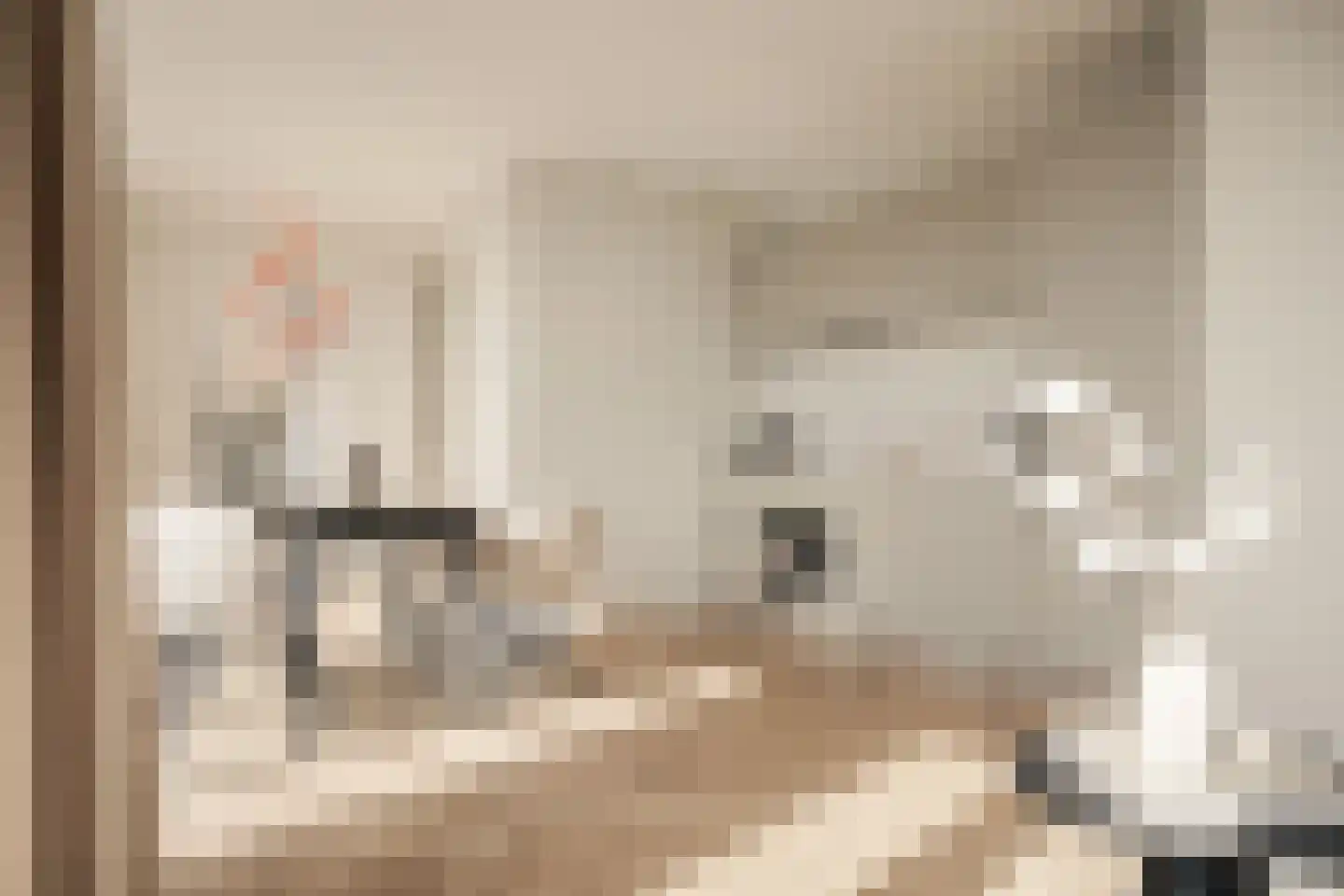 Vondellaan 53 H Utrecht thumbnail 11