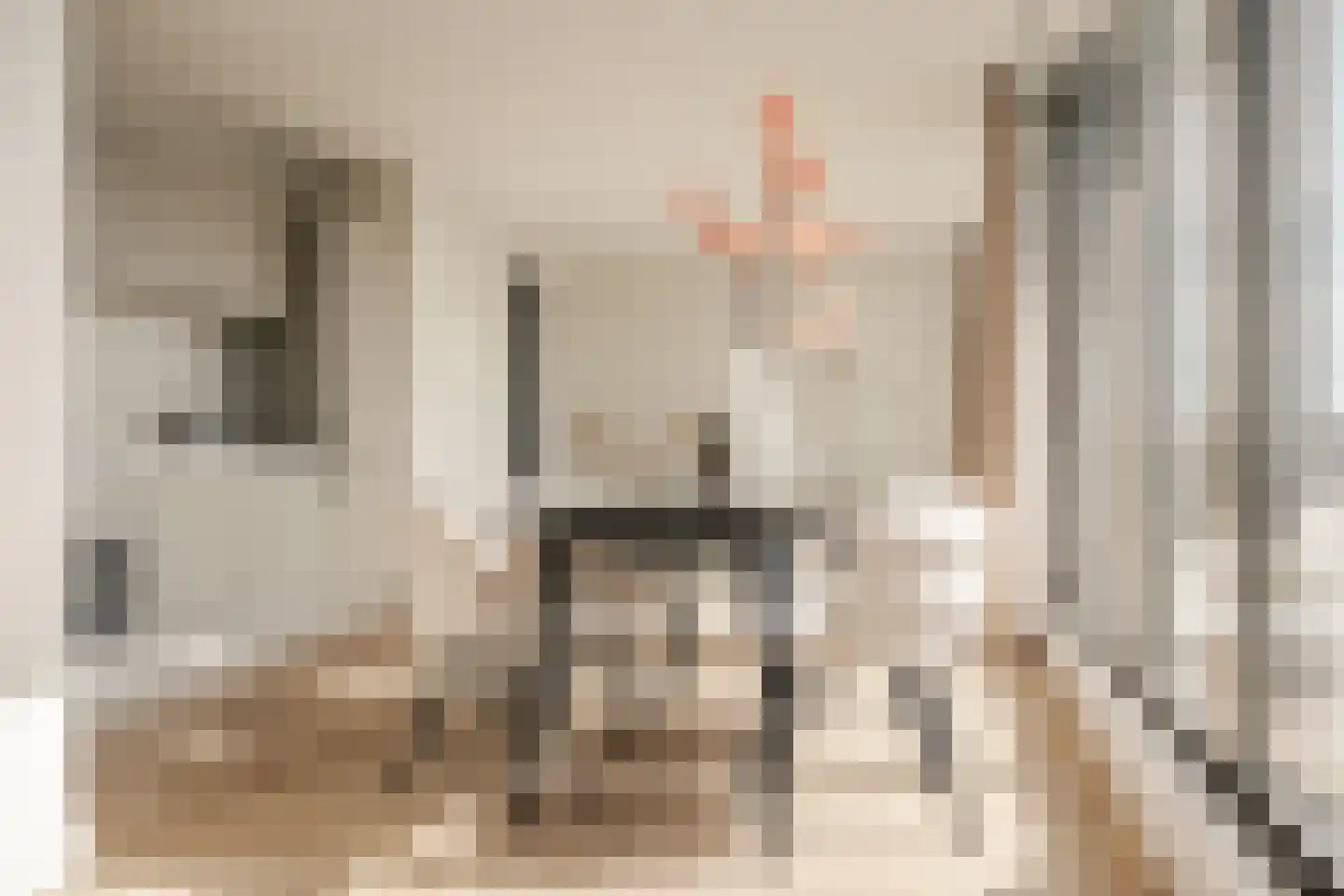 Vondellaan 53 H Utrecht thumbnail 9