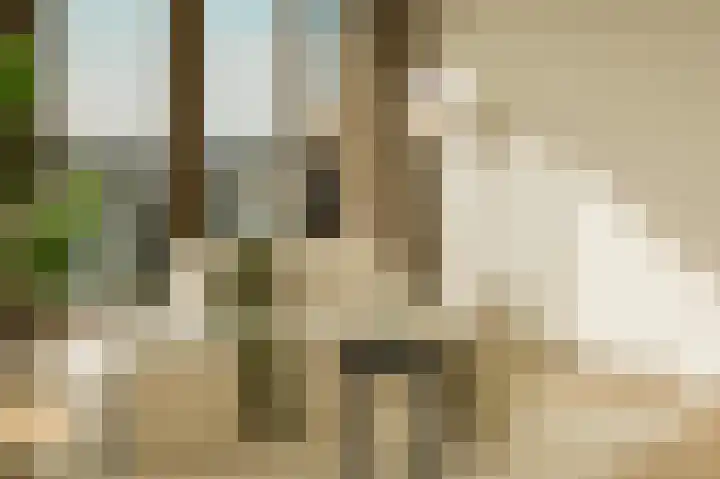 Vondellaan 53 J Utrecht thumbnail 13