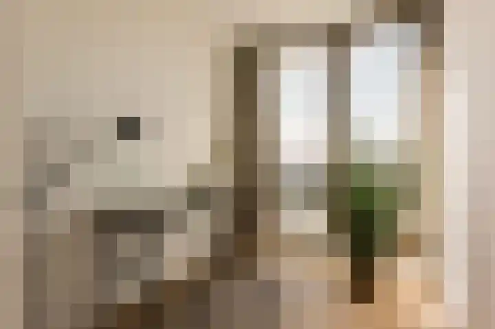 Vondellaan 53 J Utrecht thumbnail 30