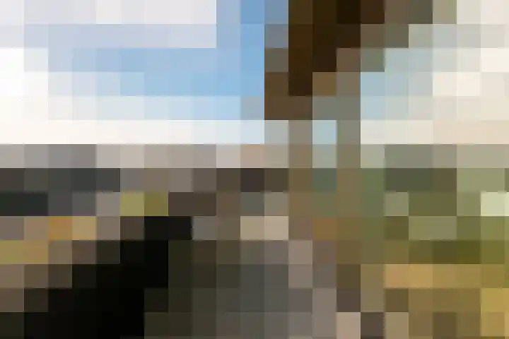Vondellaan 53 J Utrecht thumbnail 33