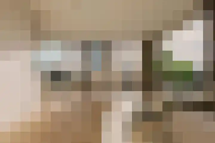 Vondellaan 53 J Utrecht thumbnail 4