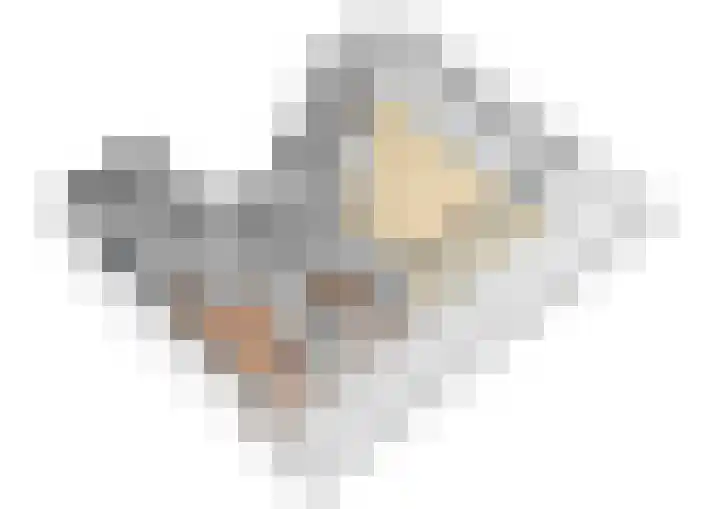 Vondellaan 53 J Utrecht thumbnail 45