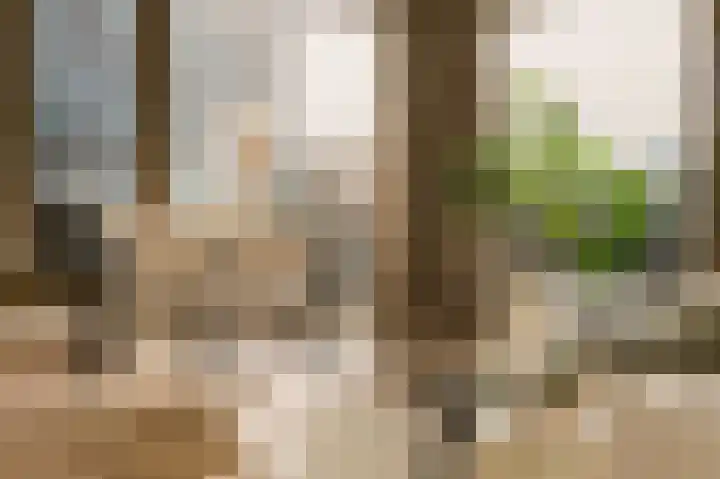 Vondellaan 53 J Utrecht thumbnail 5