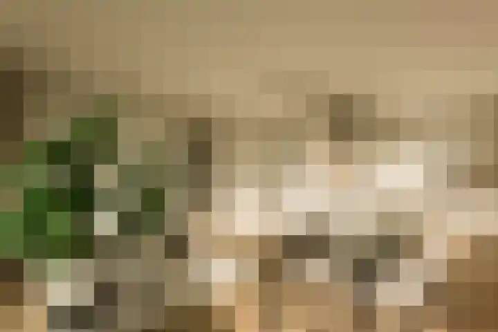 Vondellaan 53 J Utrecht thumbnail 7