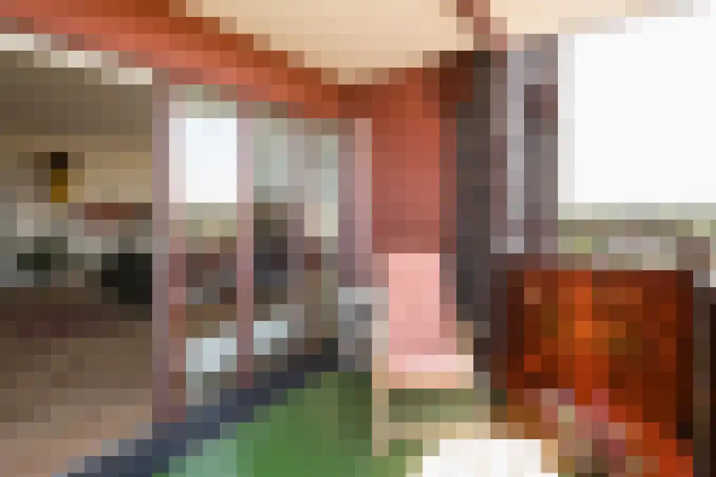 Vondellaan 53 Ridderkerk thumbnail 6