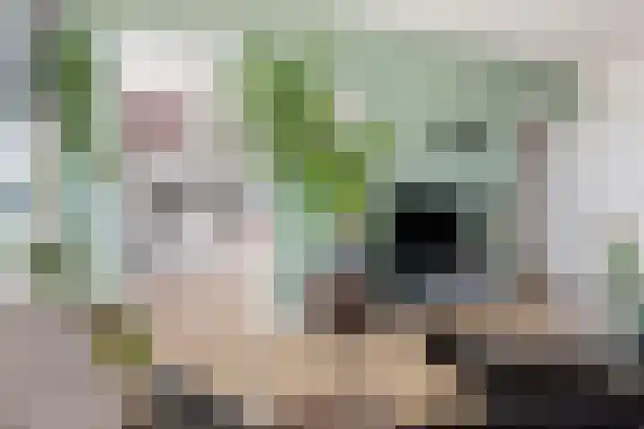 Vondellaan 54 Groningen thumbnail 10