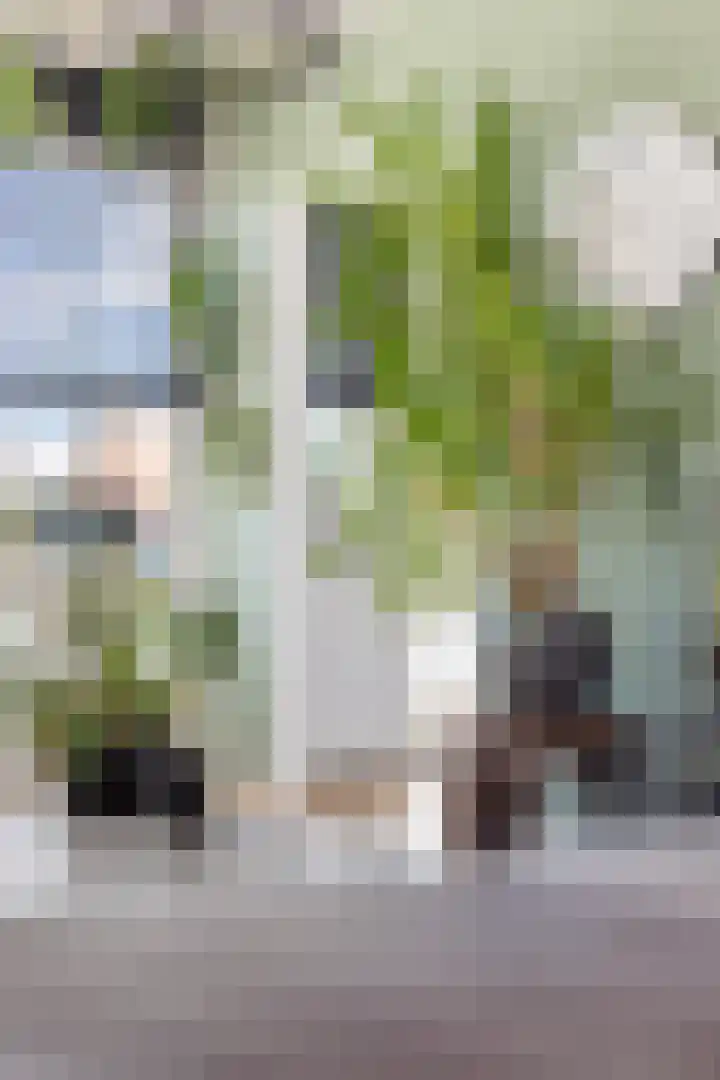 Vondellaan 54 Groningen thumbnail 14