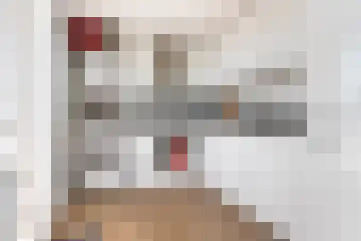 Vondellaan 54 Groningen thumbnail 18
