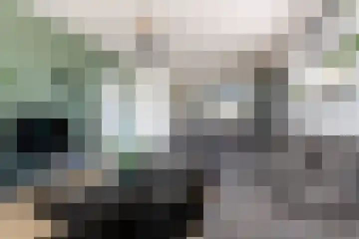 Vondellaan 54 Groningen thumbnail 8