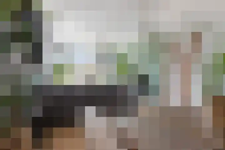 Vondellaan 54 Groningen thumbnail 9
