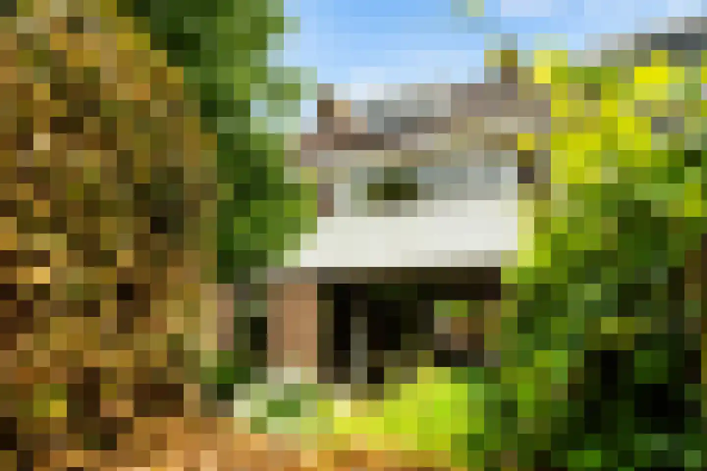 Vondellaan 56 Leiden thumbnail 37