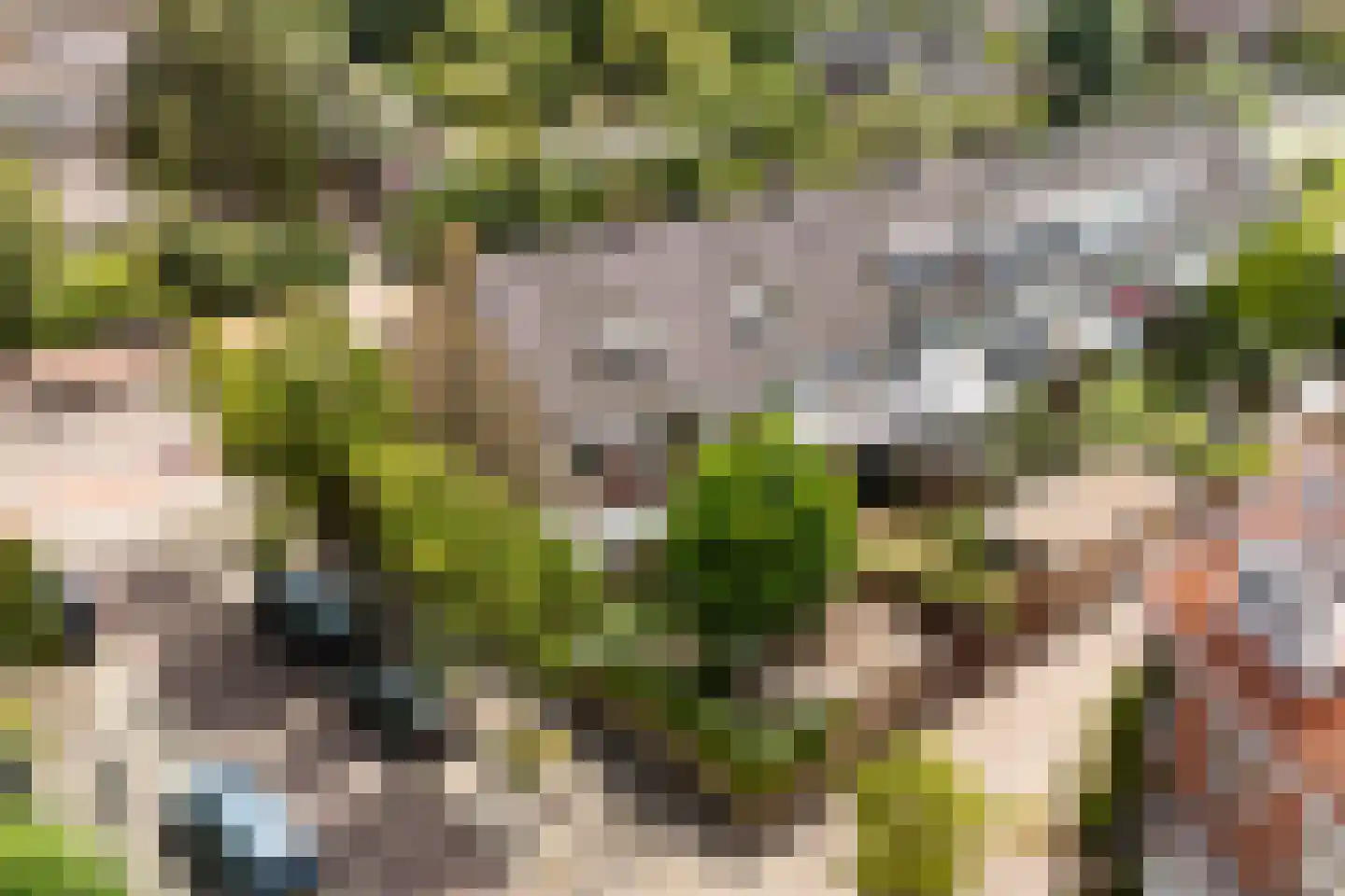 Vondellaan 56 Leiden thumbnail 4