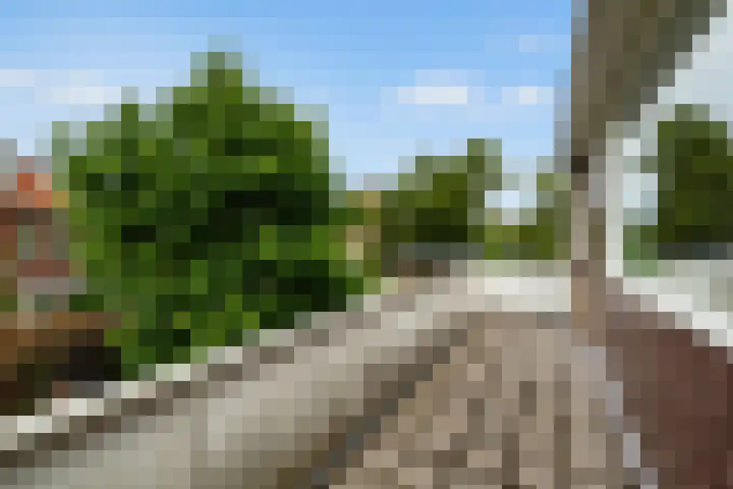 Vondellaan 56 Leiden thumbnail 57