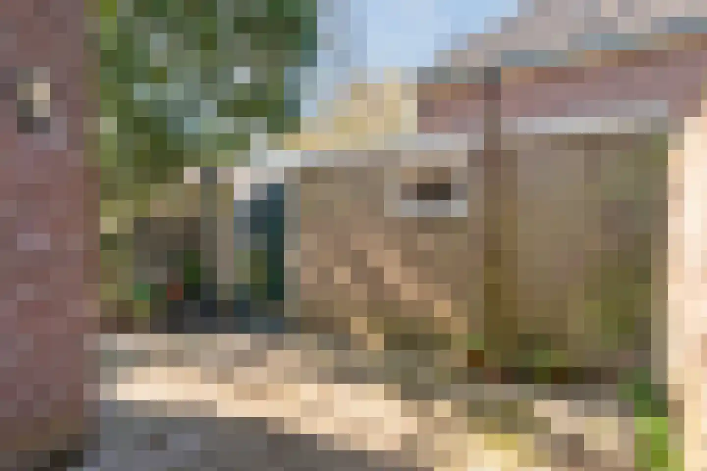 Vondellaan 57 Arnhem thumbnail 11
